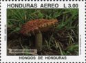 Boletellus (as Boletus) ananas