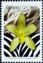 African Ansellia or Leopard Orchid (Ansellia africana)
