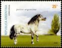 Petiso Argentino (Equus ferus caballus)