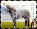 Tiro Argentino (Equus ferus caballus)