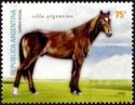 Silla Argentino (Equus ferus caballus)
