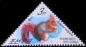 Eurasian Red Squirrel (Sciurus vulgaris)