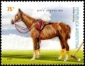 Polo Argentino (Equus ferus caballus)