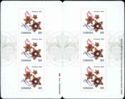 5 pointed star Cookies - Booklet