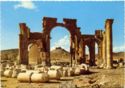 PALMYRA - Great Colonnade