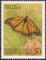 Monarch Butterfly (Danaus plexippus)