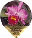 Cattleya hybr.