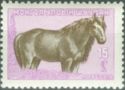 Mongolian Horse (Equus ferus caballus)
