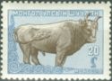 Mongolian Cattle (Bos primigenius taurus)
