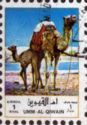 Dromedary (Camelus dromedarius)