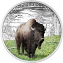 20 Dollars (Majestic Animal - Benevolent Bison)