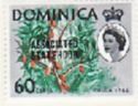 Cocoa Tree (Ceiba pentandra) overprinted