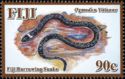 Fiji Burrowing Snake (Ogmodon vitianus)