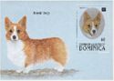 Welsh Corgi (Canis lupus familiaris)
