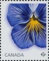 Delta Premium Pansy