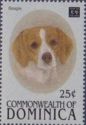 Beagle (Canis lupus familiaris)