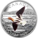 20 Dollars (The Migratory Birds Convention Series: American Avocet)
