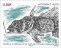 Barbeled Plunderfish (Histiodraco velifer)