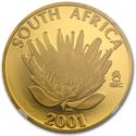 1 Protea (Tourism)