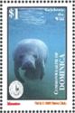 West Indian Manatee (Trichechus manatus)