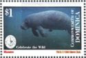 West Indian Manatee (Trichechus manatus)
