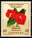 Anthurium andreanum