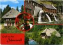 Gruß aus dem | Schwarzwald