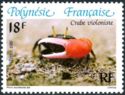 Thick-Legged Fiddler Crab (Uca crassipes)