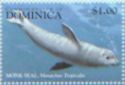 Caribbean Monk Seal (Monachus tropicalis)