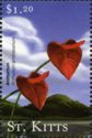 Anthurium (Anthurium andraeanum)