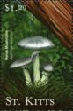 Horse Mushroom (Agaricum arvensis)