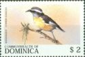 Bananaquit (Coereba flaveola)