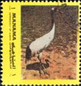 Red-Crowned Crane (Grus japonensis)