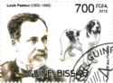Pyrenean Mastiff (Canis lupus familiaris), Louis Pasteur