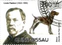 German Hound (Canis lupus familiaris), Louis Pasteur