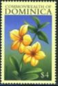 Allamanda