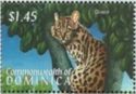 Ocelot (Leopardus pardalis)