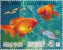 Goldfish (Carassius auratus auratus)
