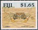 Lairo - Brown Land Crab (Cardisoma carnifex)