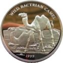 500 Tögrög (Wild Bactrian camel)