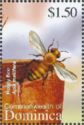 European Honey Bee (Apis mellifera)