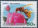 Asian giant hornet (Vespa mandarinia) - Rose