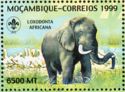 African Elephant (Loxodonta africana)