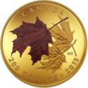 200 Dollars (Alluring Maple Leaves of Fall)