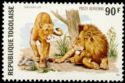 Lion (Panthera leo)