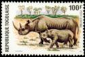 Black Rhinoceros (Diceros bicornis)