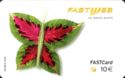 Fastcard - Butterfly