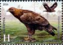 Golden Eagle (Aquila chrysaetos)