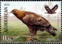 Golden Eagle (Aquila chrysaetos)