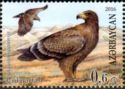 Steppe Eagle (Aquila nipalensis)